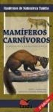 Mamíferos carnívoros