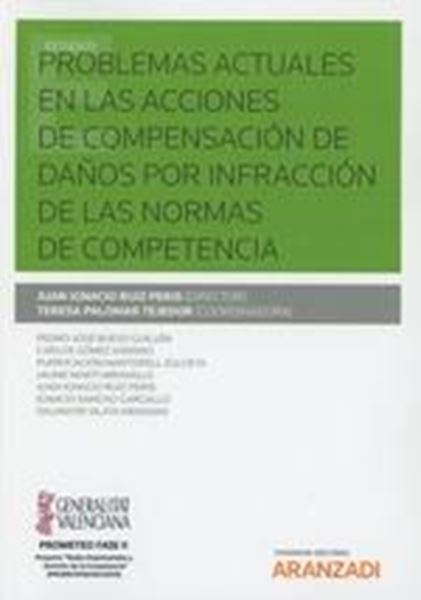 Problemas actuales en las acciones de compensación de daños por infracción de las normas de competencia