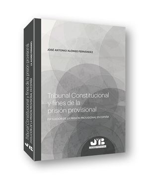 Tribunal Constitucional y fines de la prisión provisional, 2019