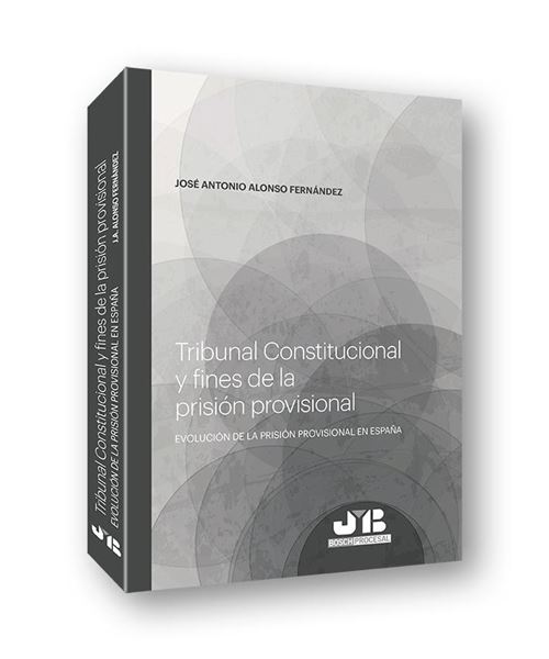 Tribunal Constitucional y fines de la prisión provisional, 2019