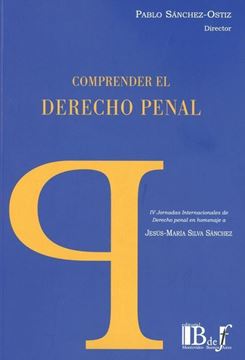 Imagen de Comprender el derecho penal 2019