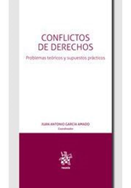 Imagen de Conflictos de derechos, 2019 "Problemas teóricos y supuestos prácticos"