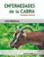 Imagen de Enfermedades de la Cabra, 2ª ed, 2019