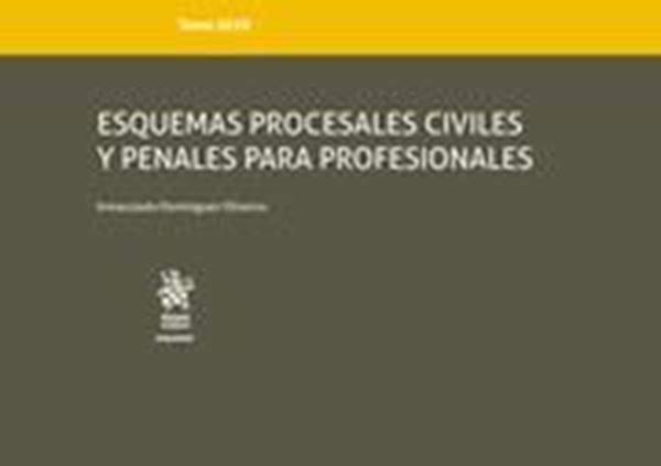 Imagen de Esquemas procesales civiles y penales para profesionales, 2019
