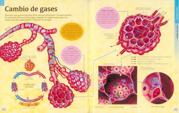 El cuerpo humano "Biblioteca esencial"