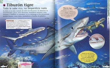 Enciclopedia de tiburones y otros depredadores marinos "Biblioteca esencial"