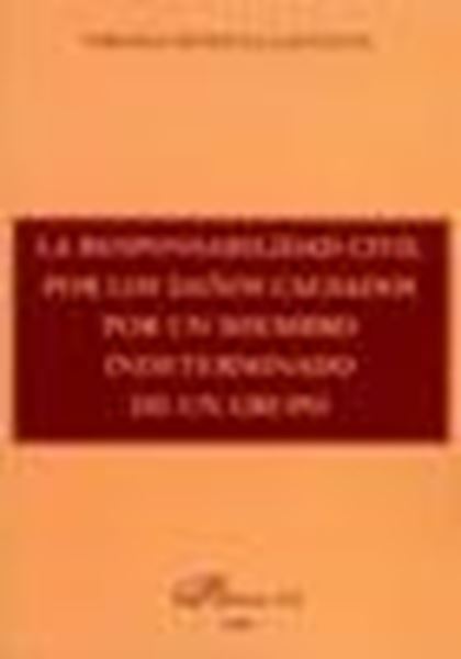 La responsabilidad civil por los daños causados por un miembro indeterminado de