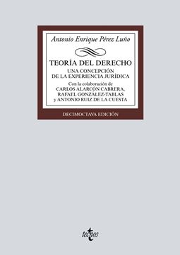 Teoría del Derecho, 18ª ed, 2019 "Una concepción de la experiencia jurídica"