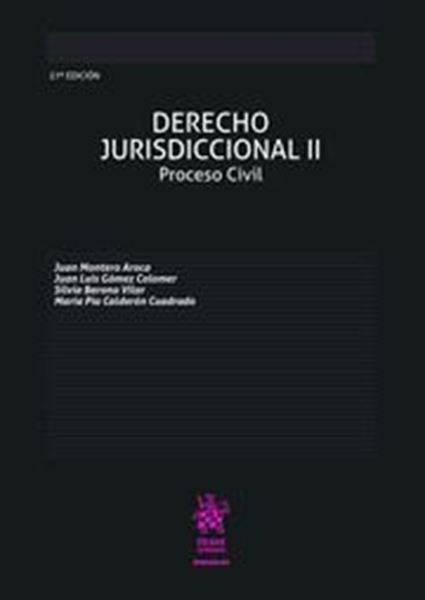 Imagen de Derecho Jurisdiccional II. Proceso Civil, 27ª ed, 2019