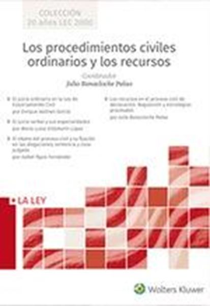 Los procedimientos civiles ordinarios y los recursos 4 Vols., 2019