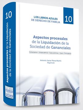 Aspectos procesales de la Liquidación de la Sociedad de Gananciales