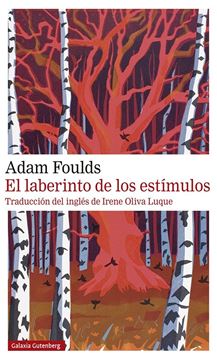 Laberinto de los estímulos, El