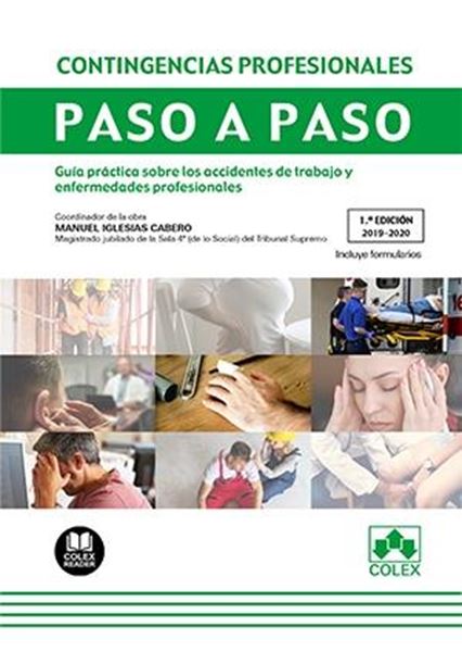 Contingencias profesionales. Paso a paso, 2019-2020 "Guía práctica sobre los accidentes de trabajo y enfermedades profesional"
