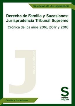 Imagen de Derecho de Familia y Sucesiones: Jurisprudencia del Tribunal Supremo , 2019 "Crónica de los años 2016, 2017 y 2018"