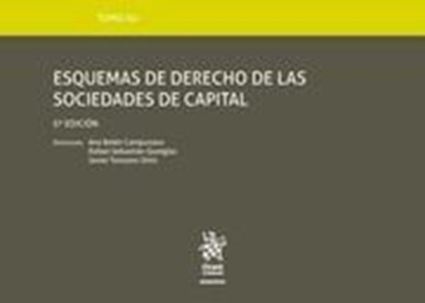 Imagen de Esquemas de derecho de las sociedades de capital, 5ª ed, 2019