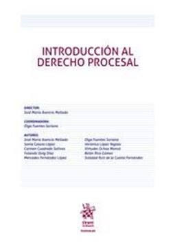 Imagen de Introducción al Derecho Procesal, ed. 2019 
