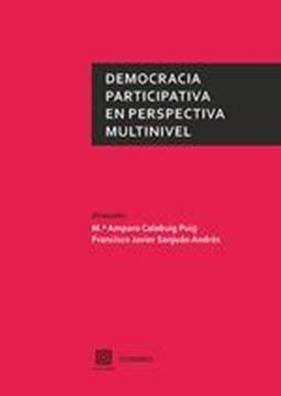 Democracia participativa en perspectiva multinivel