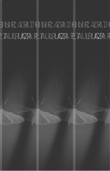 Capturar la luz: la historia entrelazada de la luz y la mente