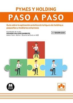 Pymes y Holding. Paso a paso, 2020 "Guía sobre la aplicación práctica de la figura de holding a pequeñas y medianas empresas"