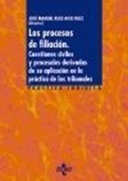 Los procesos de filiación, 2020 "Cuestiones civiles y procesales derivadas de su aplicación en la práctica de los tribunales"