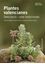 Plantes valencianes "Descripció i usos tradicionals"