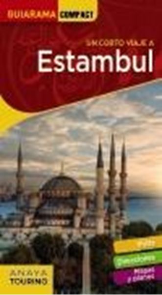 Un corto viaje a Estambul, 2020