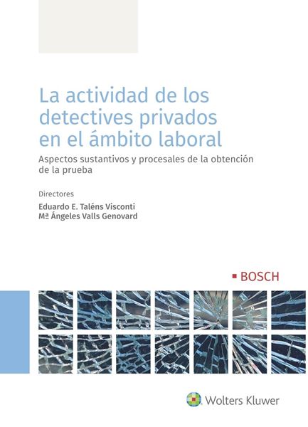 Actividad de los detectives privados en el ámbito laboral, La, 2020 "Aspectos sustantivos y procesales de la obtención de la prueba"