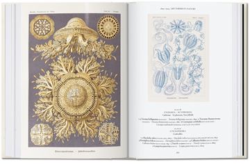 The Art and Sxience of Ernst Haeckel   "40th Anniversary Edition"