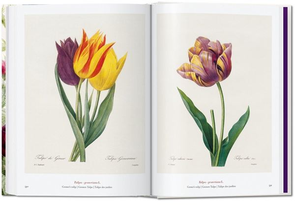 The book of flowers. Pierre-Joseph Redouté. 40th Anniversary Edition "Il libro dei fiori. El libro de las flores"