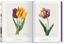 The book of flowers. Pierre-Joseph Redouté. 40th Anniversary Edition "Il libro dei fiori. El libro de las flores"