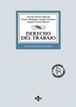 Derecho del Trabajo, 29º ed, 2020