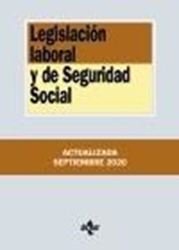 Legislación laboral y de Seguridad Social, 22ª ed, 2020