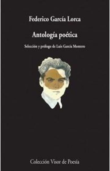 Antología Poética "Selección y prólogo de Luis García Montero"