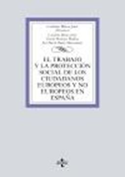Trabajo y la protección social de los ciudadanos europeos y no europeos en España, El, 2020