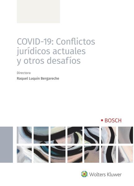 COVID-19: Conflictos jurídicos actuales y otros desafíos, 2020