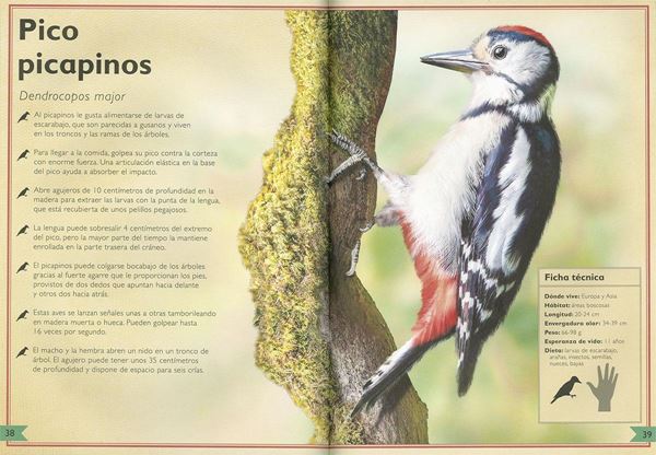 El majestuoso libro de las aves