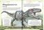 El magnífico libro de los dinosaurios