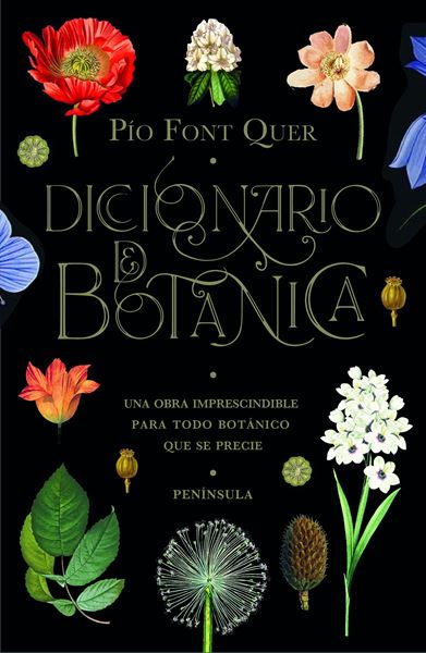 Diccionario de botánica, 2020