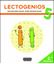 Lectogenios 5 "2º Primaria"