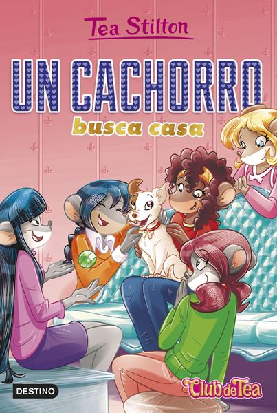 Un cachorro busca casa, 2020