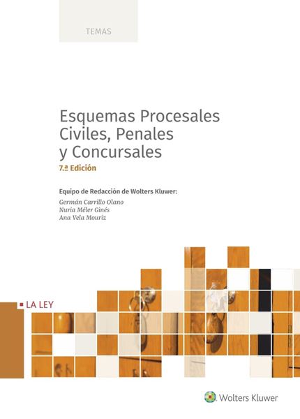 Esquemas procesales civiles, penales y concursales (7.ª edición), 2020