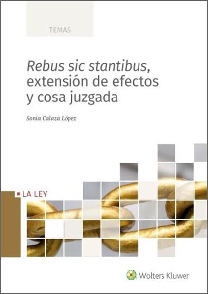 Rebus sic stantibus, extensión de efectos y cosa juzgada, 2021