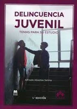 Imagen de Delincuencia Juvenil, 2021 "Temas para su Estudio"