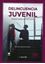 Imagen de Delincuencia Juvenil, 2021 "Temas para su Estudio"