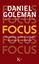 Focus. Desarrollar la inteligencia para alcanzar la excelencia