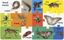 Forest animals "100 my first"
