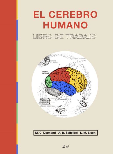 El cerebro humano "Libro de trabajo"