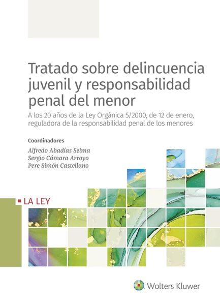 Tratado sobre delincuencia juvenil y responsabilidad penal del menor, 2021 "A los 20 años de la Ley Orgánica 5/2000, de 12 de enero, reguladora de l"