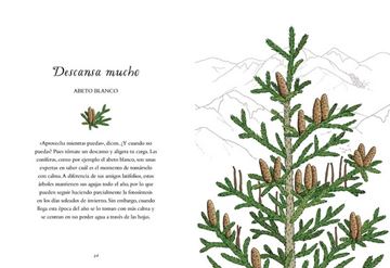 Sé como un árbol "Sabiduría natural para una felicidad perenne"