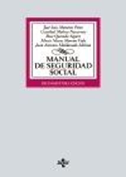 Manual de Seguridad Social, 17ª ed, 2021